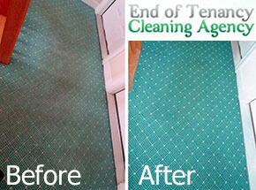 Carpet Cleaning Before After